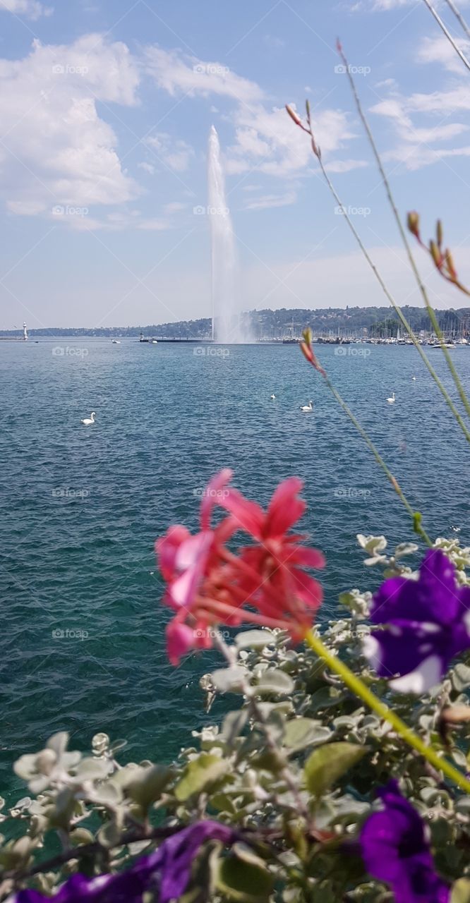 Geneva Lake