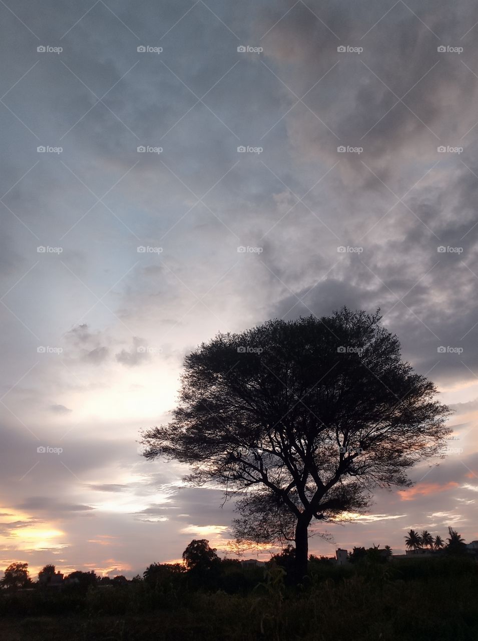 😇I am village boy this photo click in my redmi 6 phone 👍❤ please support me to new village🌿🍃 photos uploading🥰