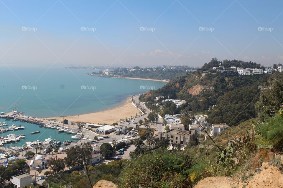 landscaping from Tunisia
