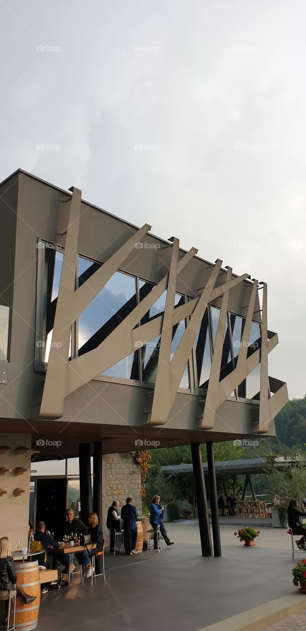 modern winery