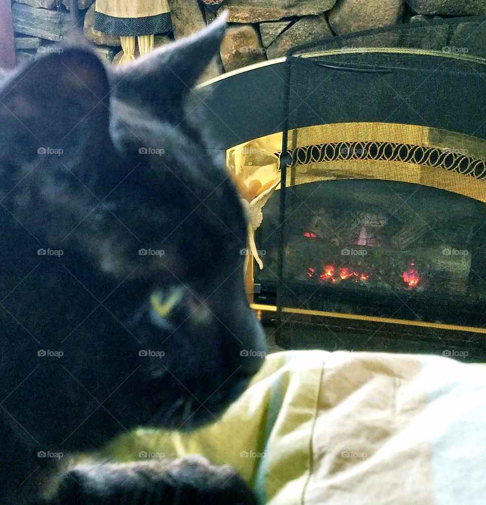 Black cat in front of burning fireplace, profile pic of black kitty.
