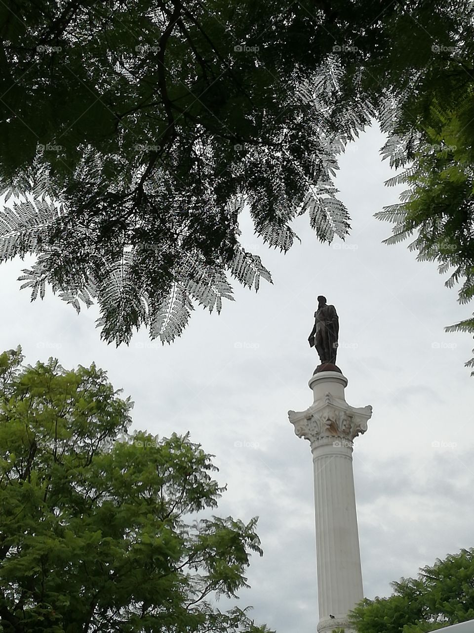 Statue with tropical trees