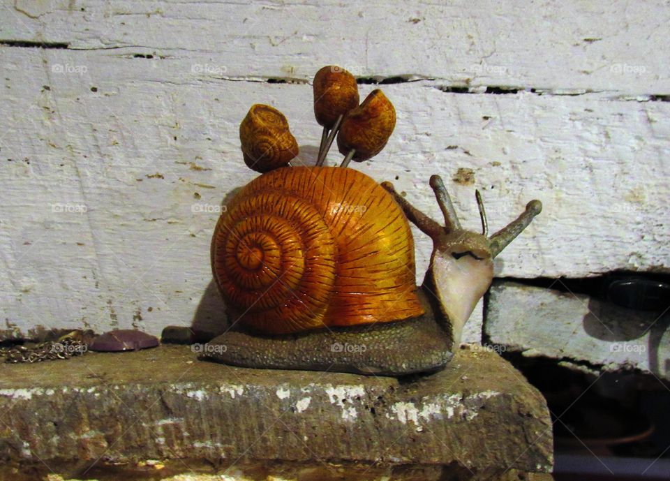 Snail