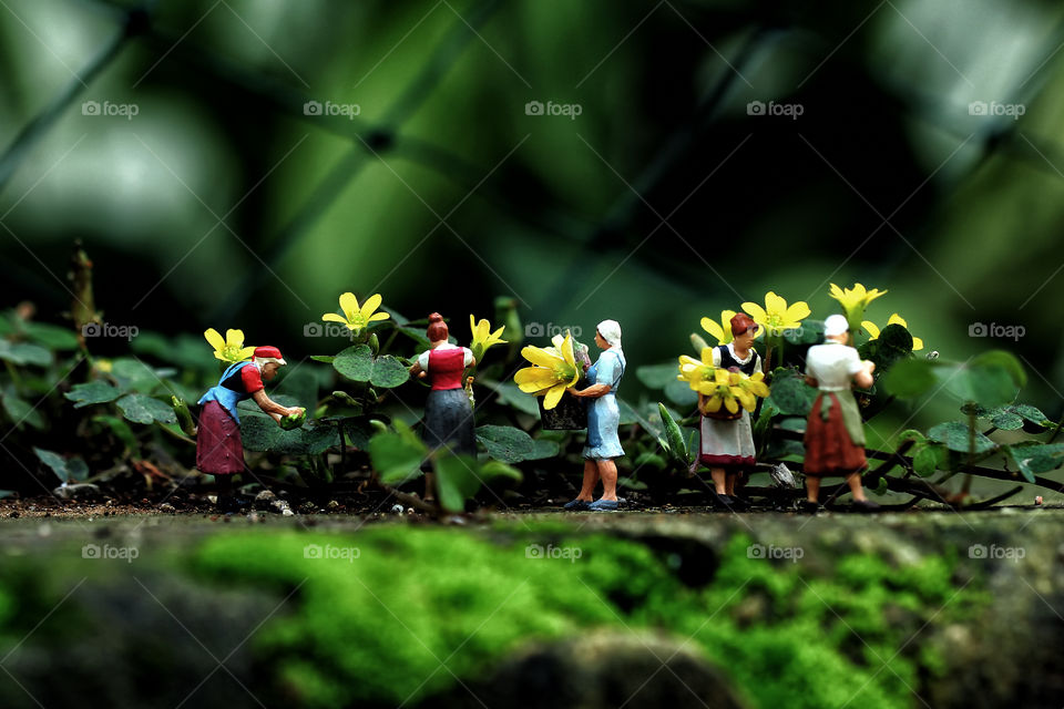 Miniature figure harvesting flowers