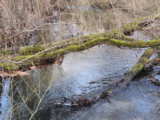 Flusslandschaft