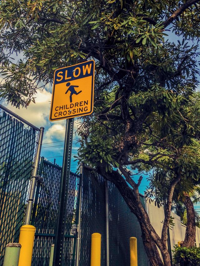 Safety Signal