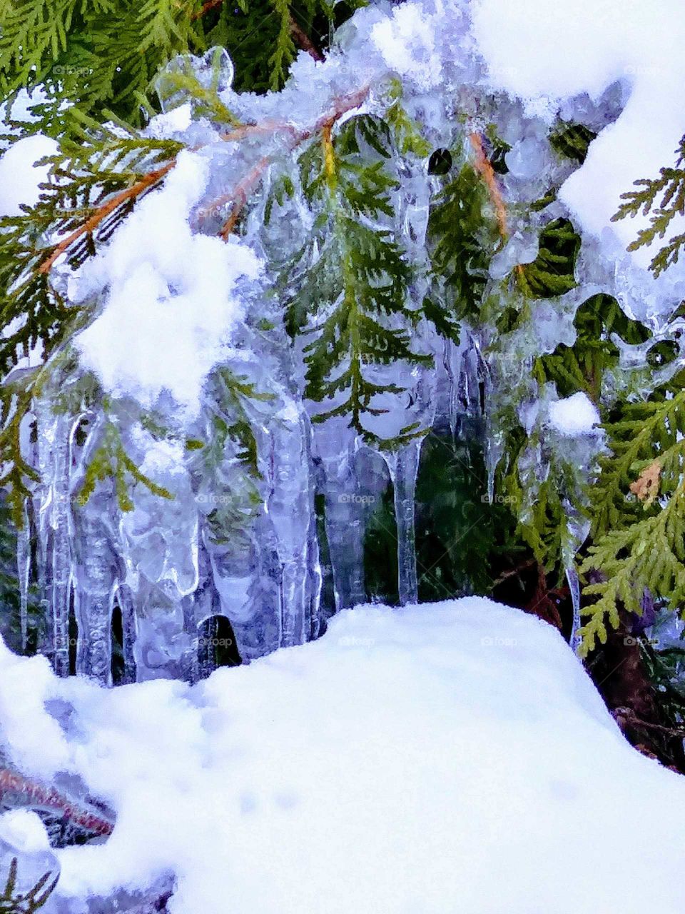 Winter beginning to say goodbye