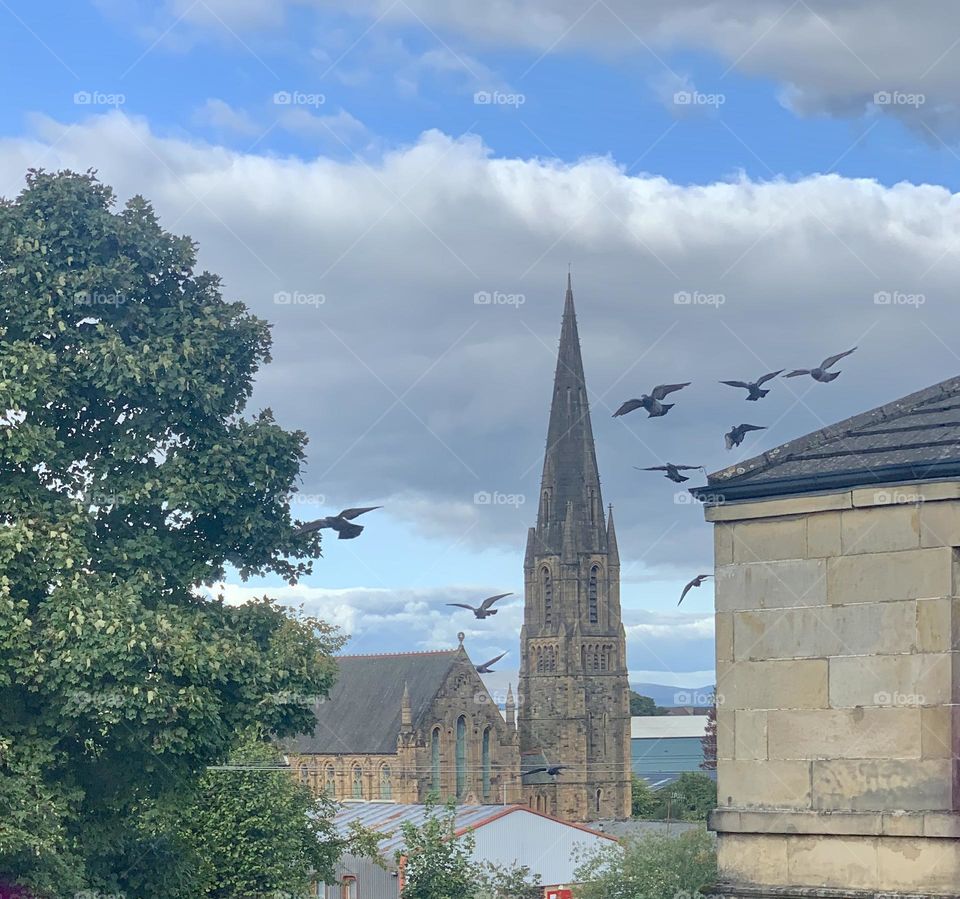 Landscape with a view of the old church, flying birds and blue sky