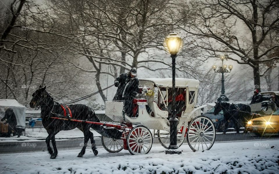 Snow. Coche de caballos en las calles nevadas de nueva york unas navidades