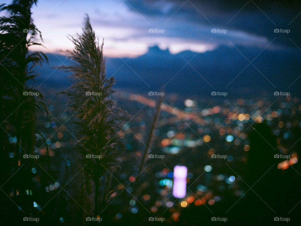 View from Monserrate at dusk