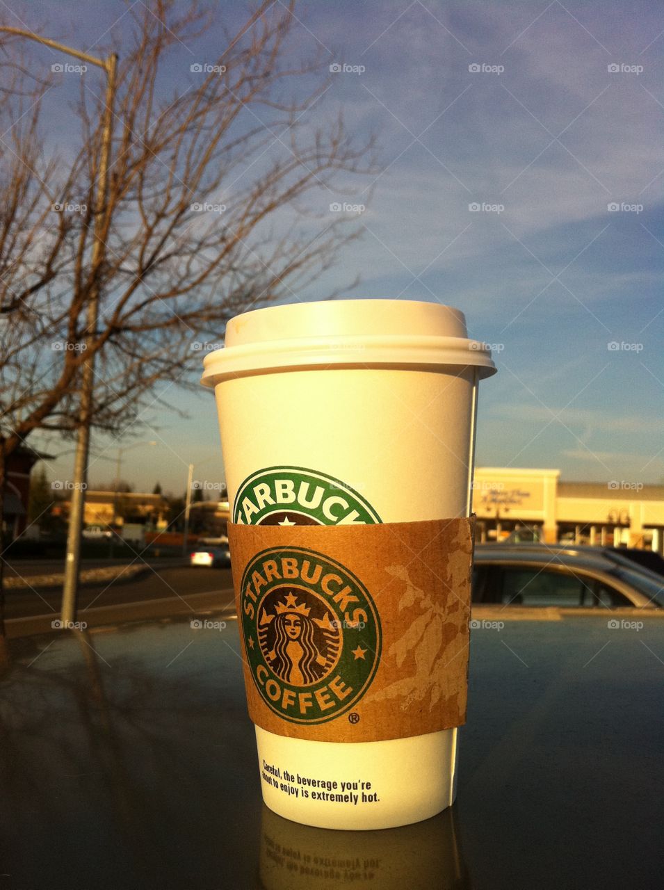 Starbucks coffee cup white on top of car 