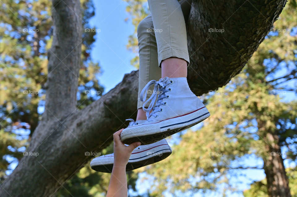 The close up shot of white sneakers on the branch and a toddler hand