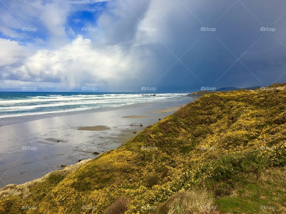 Scenic view of sea