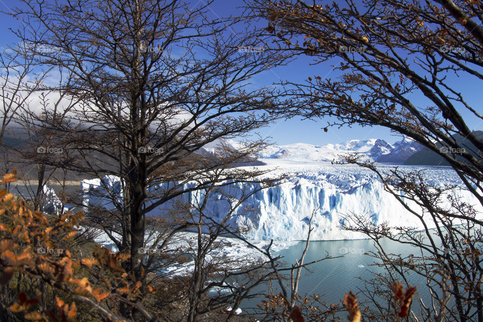 Perito Moreno Glacier near El Calafate in Argentina.