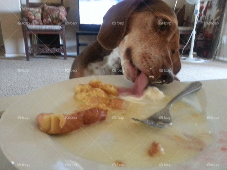 I turn my back for one minute...