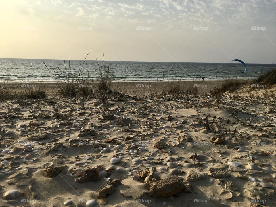 Sand and seashells beach