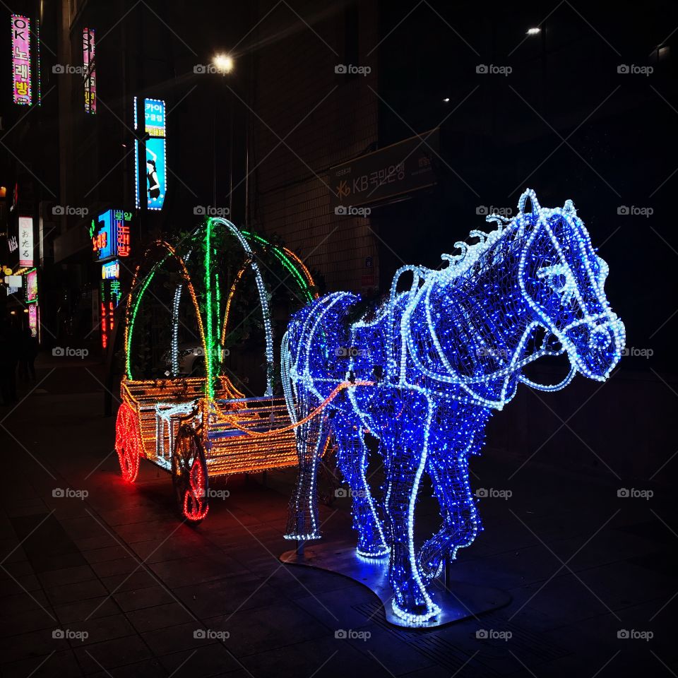 Valentine’s Day beautiful light horse in South Korea 