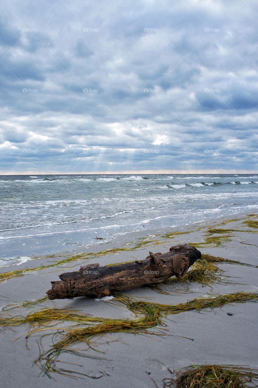 Water, Sea, Beach, Seashore, Ocean