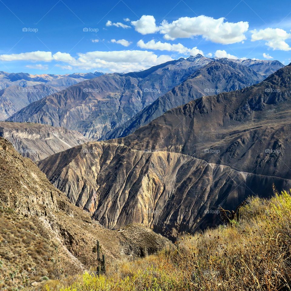 Colca Canyon