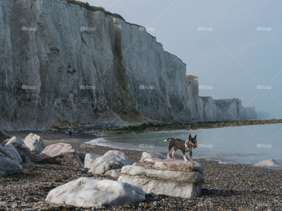 Beach and cliff 