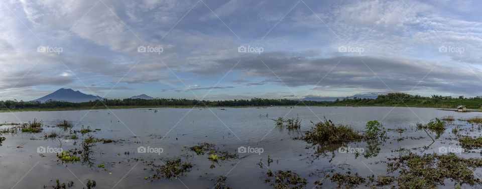 landscape at the beach