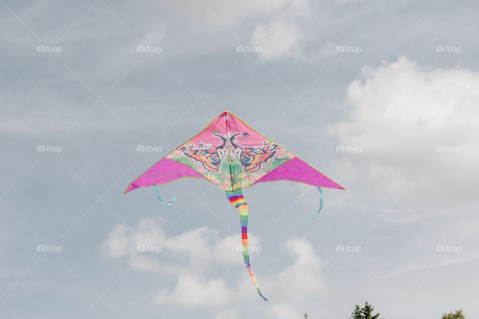 Kite