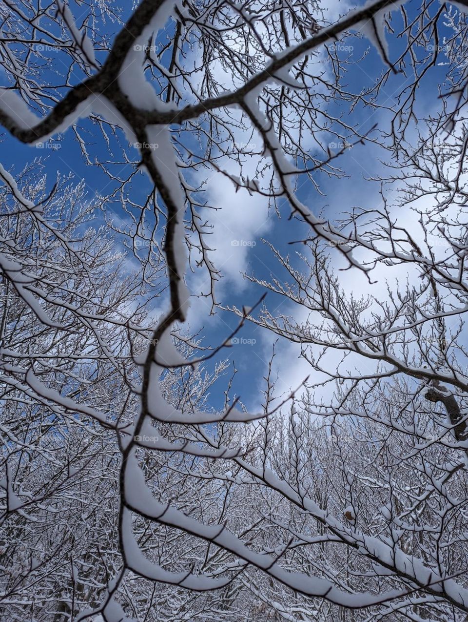 sky and snow