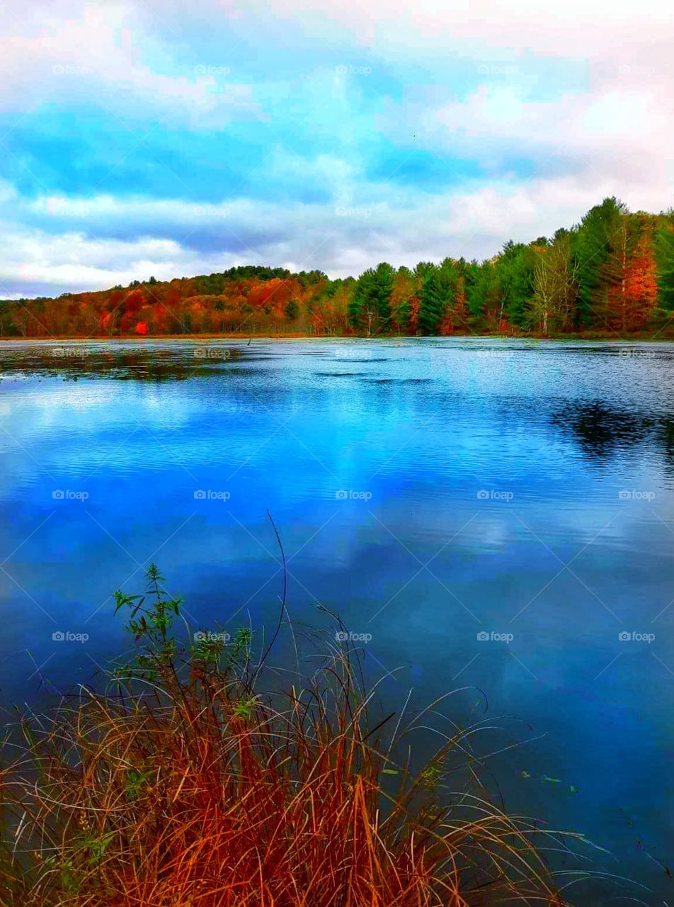 autumn lake