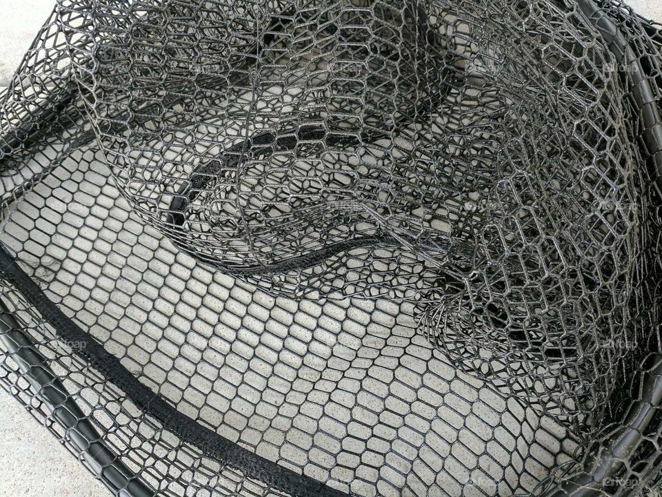 fish net