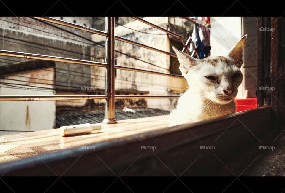 Post lunch break 😃