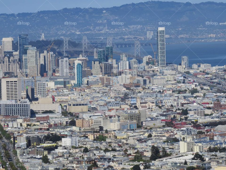 San Franciscan Summer 