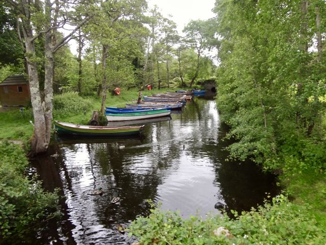 Irish Rowboats