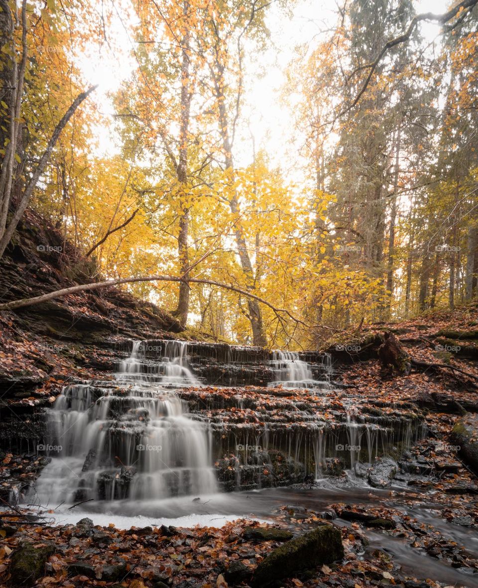 Enjoy the morning in the beautiful forest