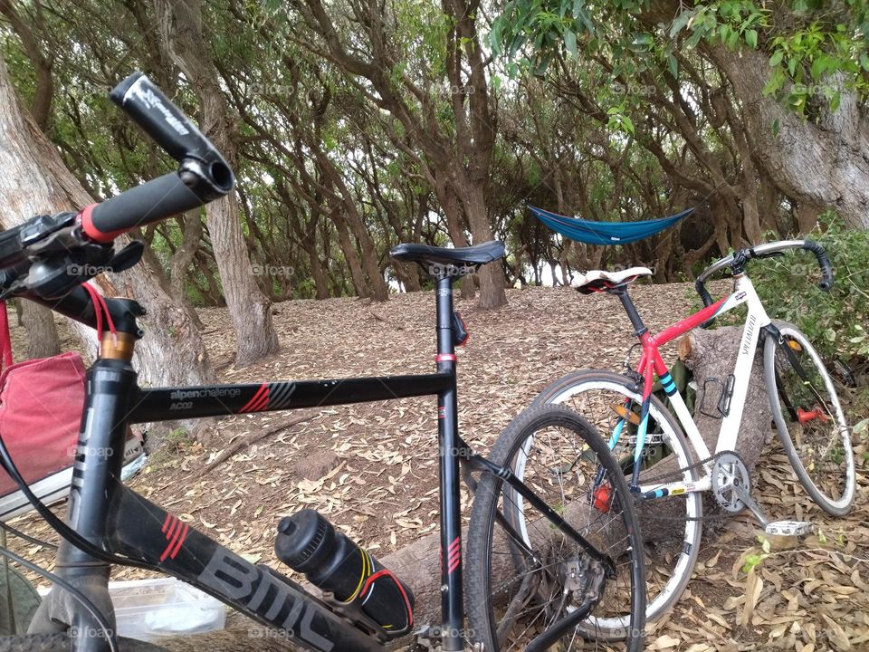 biking and picnic