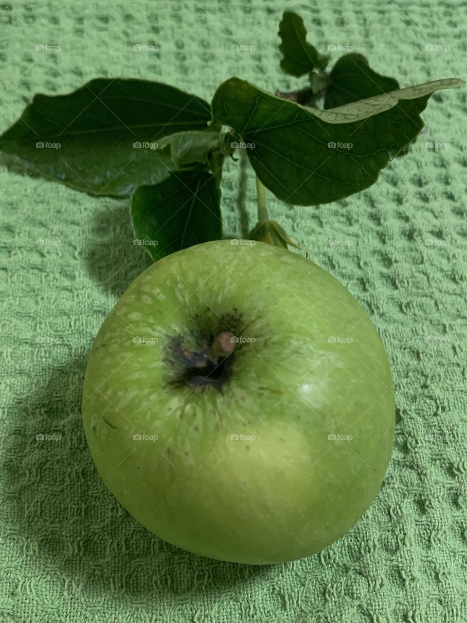 “Stay me with flagons, Comfort me with apples: For I am sick of love.” ‭‭Song of Solomon‬ ‭2:5‬ ‭KJV‬‬