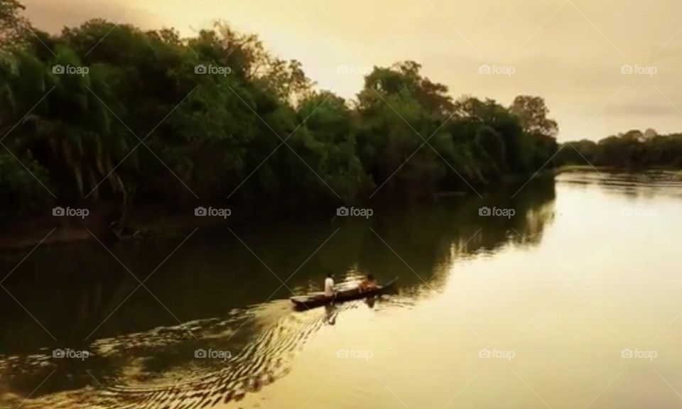 Pantanal, Brazil 