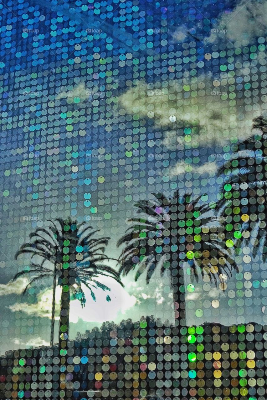 Palms reflection on the window