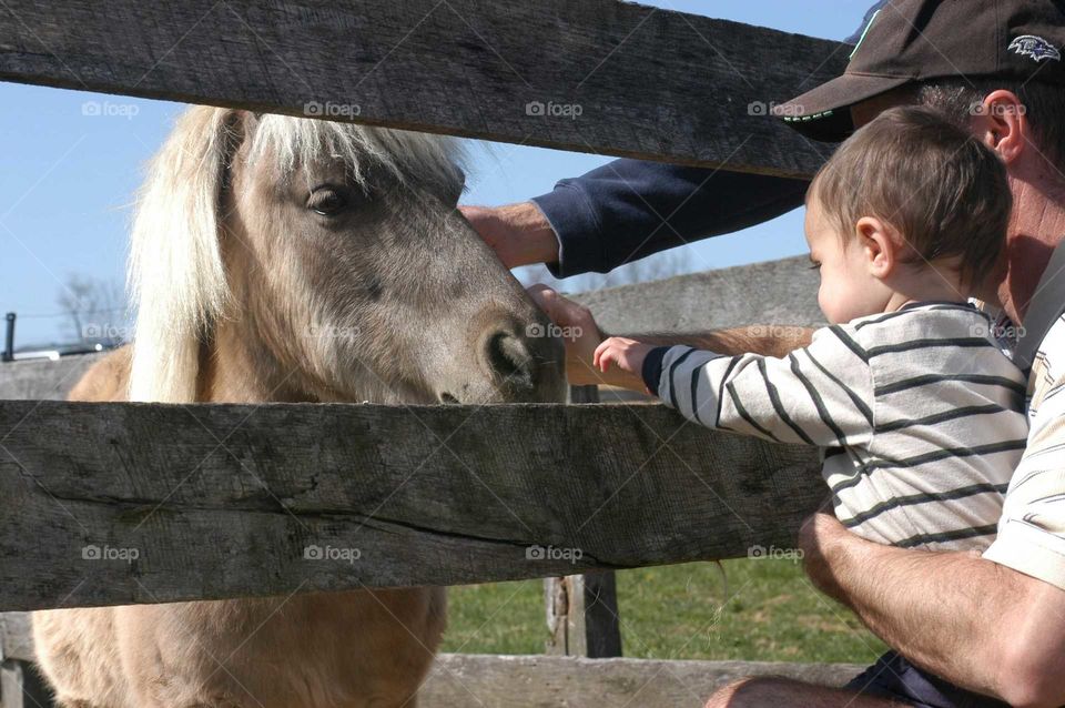 child pets horse in countryside