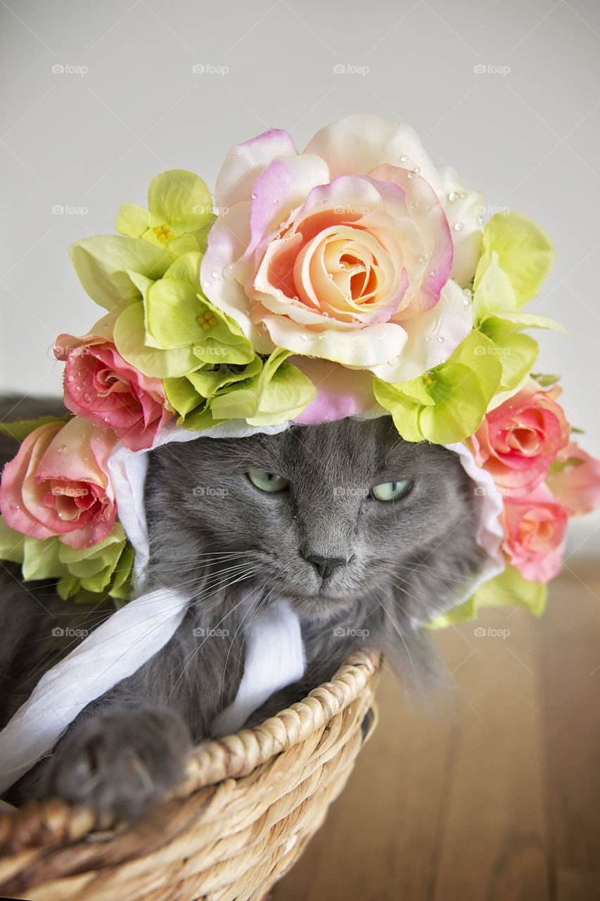 Miley is modeling a beautiful, handmade flower bonnet and loving every moment.