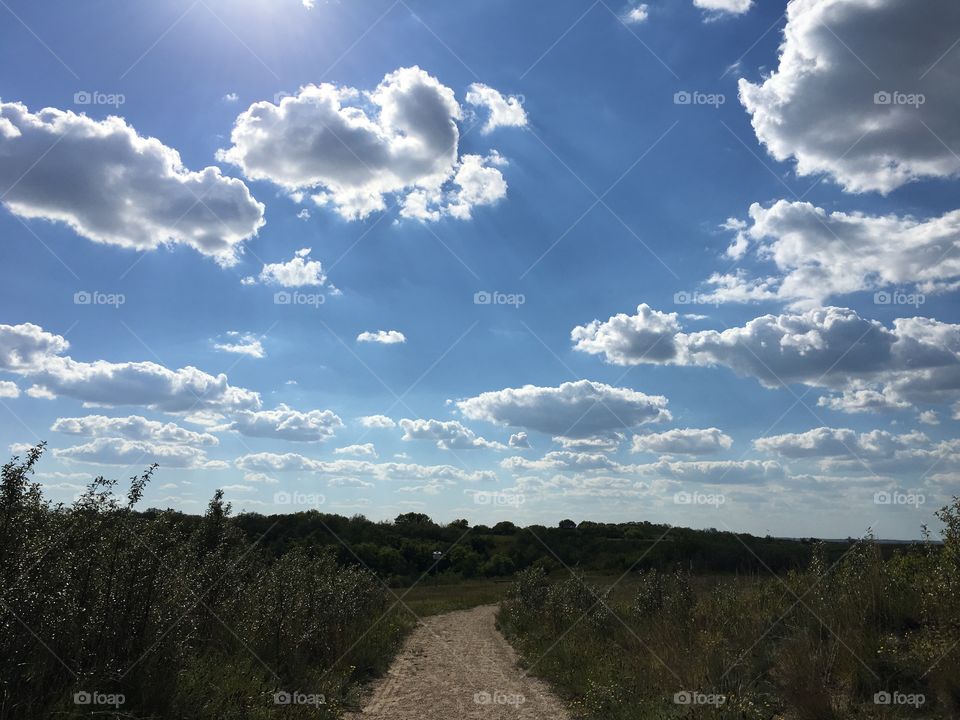 Landscape, No Person, Sky, Tree, Travel