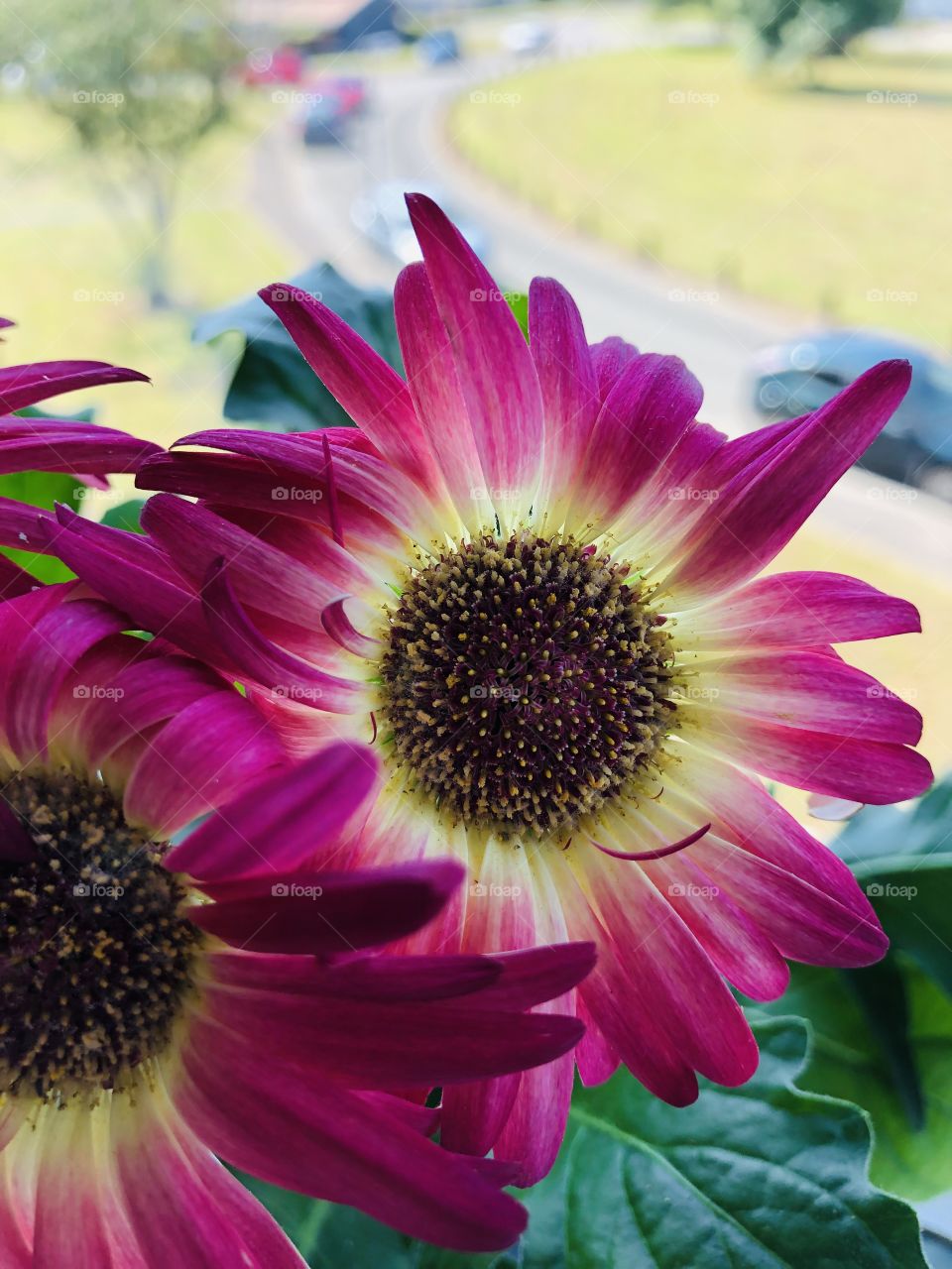 To brighten up you day 👌