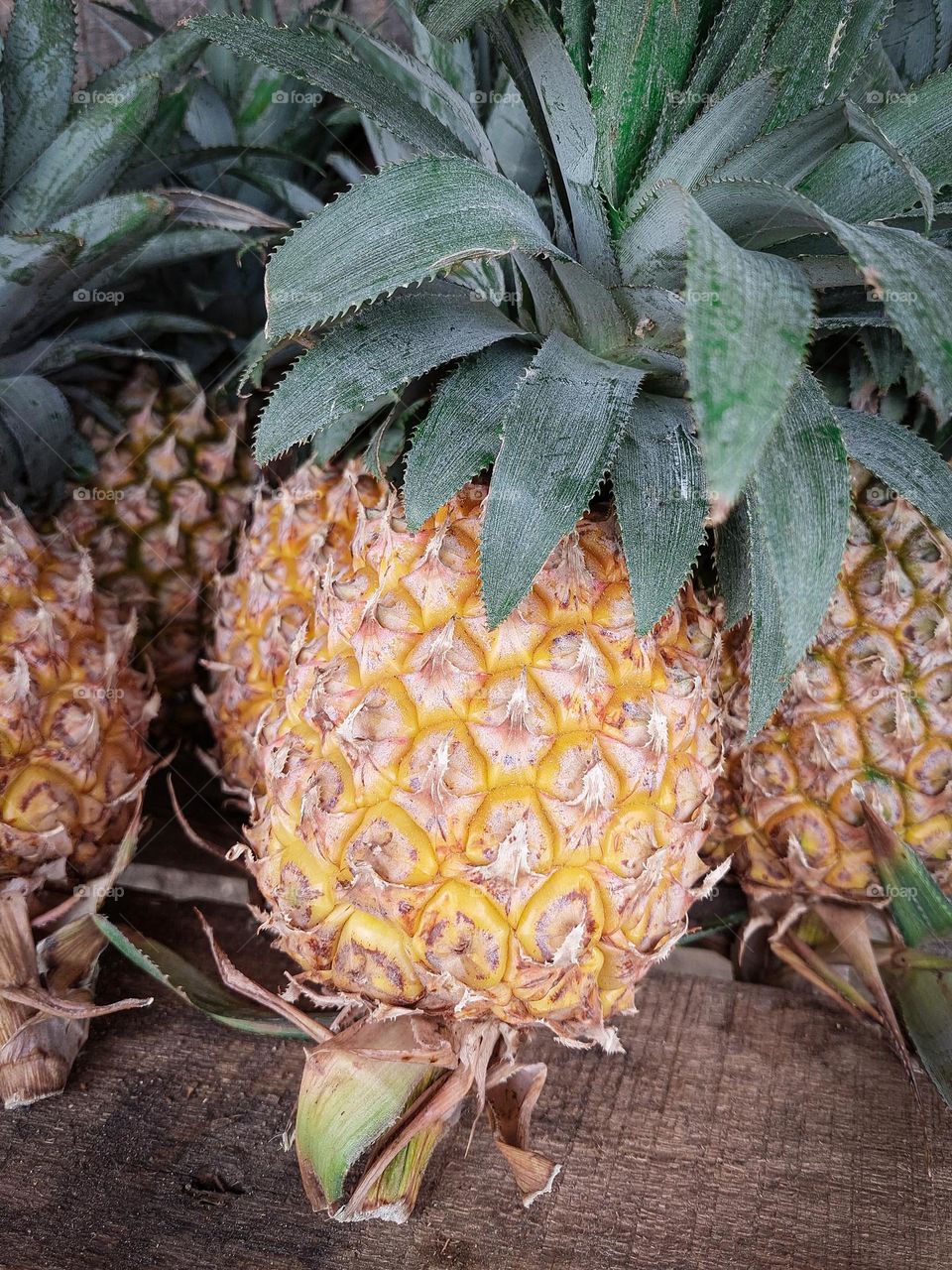 Pineapple