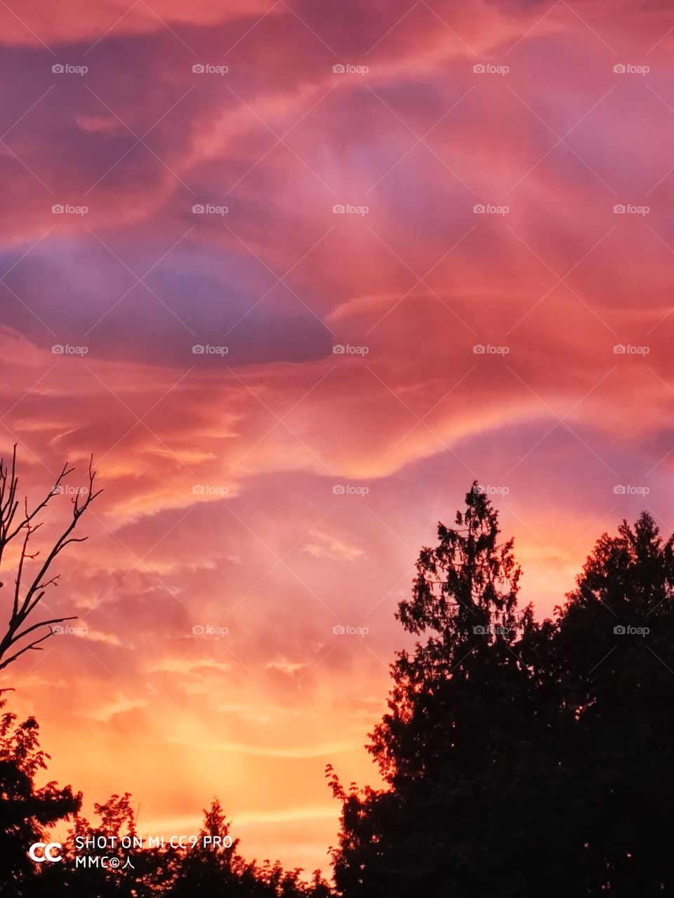 sunset and evening series