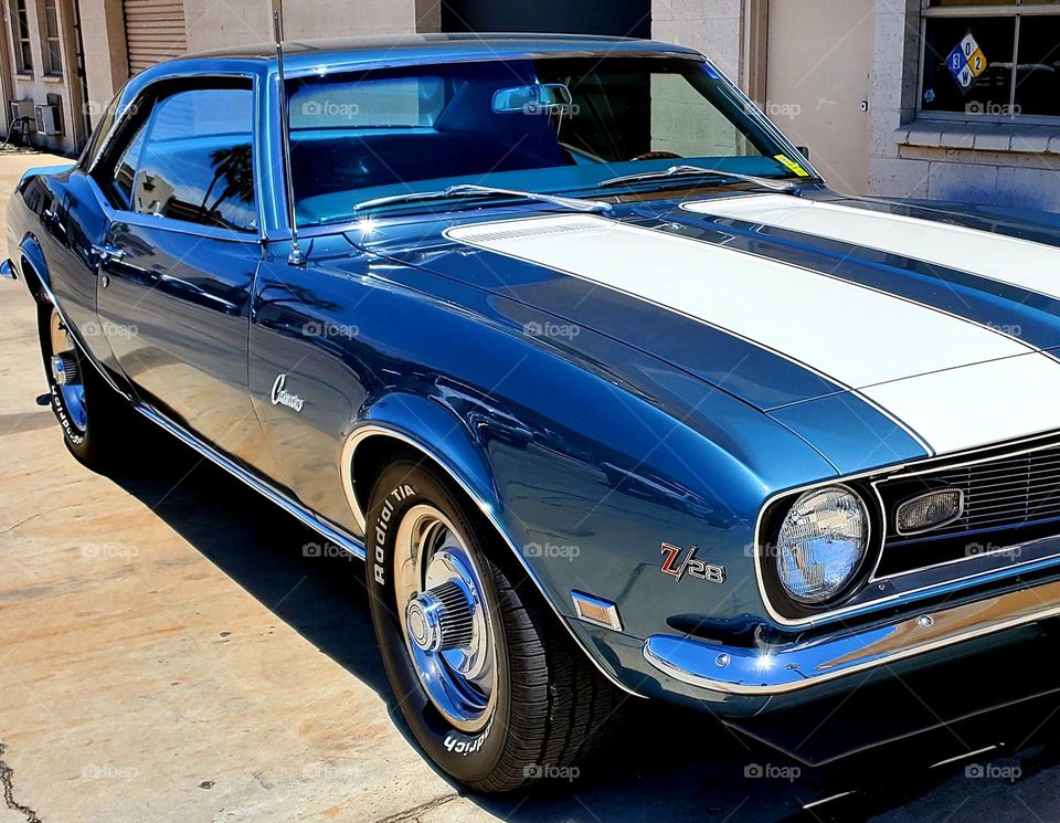A perfect 1967 Chevy Camaro shines in the California sun