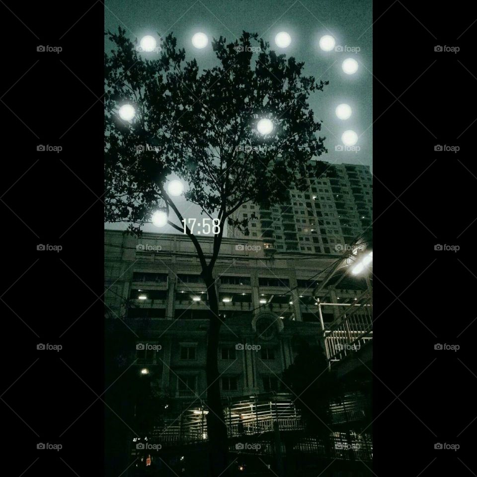 gedung tinggi pada saat malam hari,, di depan gedung ada pohon yang dihiasi lampu taman