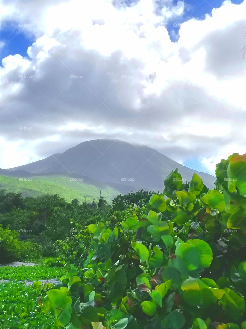 Mount Nevis