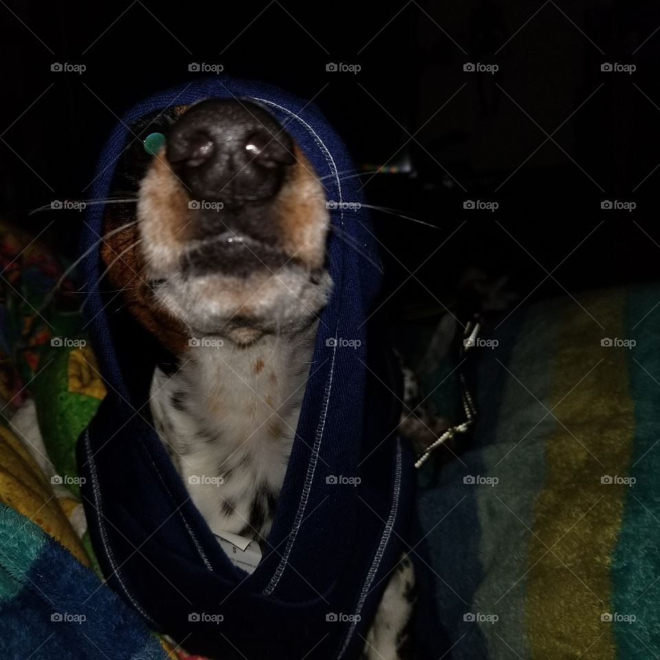 Come on mom!! don't make me bite you!