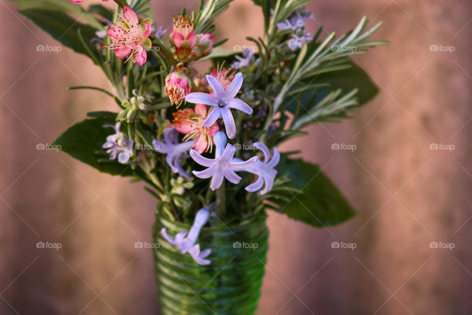 Spring flower