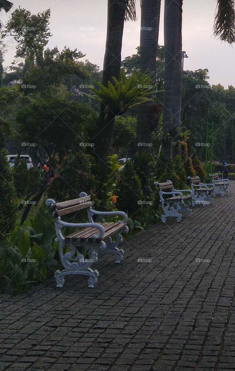 bench in the park.