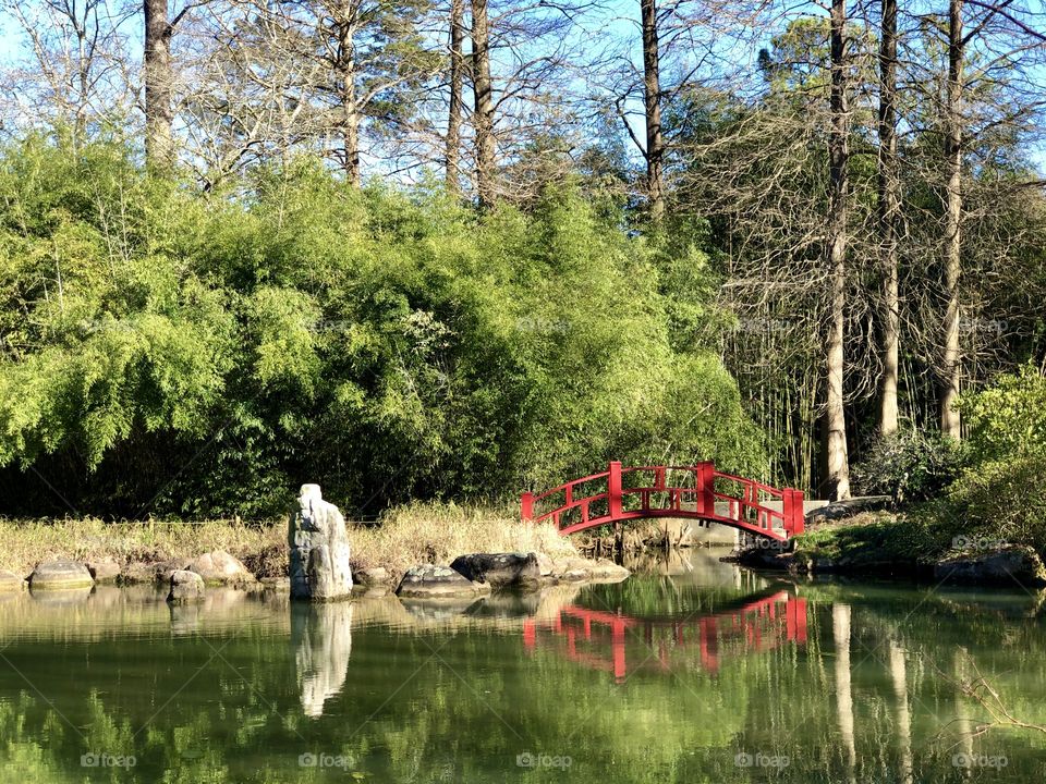 Water garden with red footbridge 